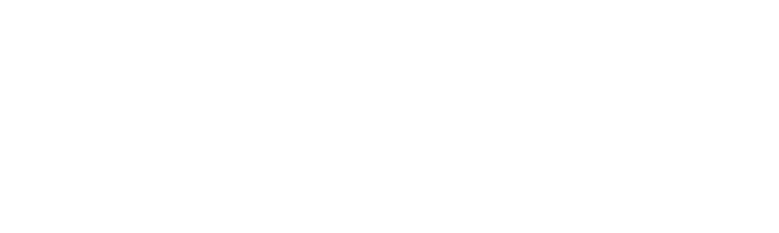 George Bowes